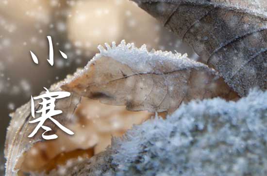 小寒养生祝福短信（通用40句）
