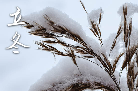 2024年立冬是什么时候时间 2024年立冬理发好不好