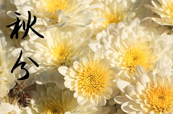 今年的秋分时间是公历几月几日2024 秋分养生