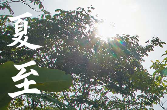 2023年夏至过后几点天亮 夏至过后白天变长了吗