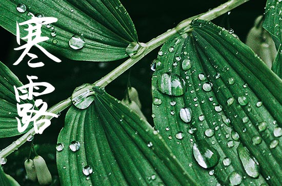 2024年寒露是农历的哪一天 寒露的古诗