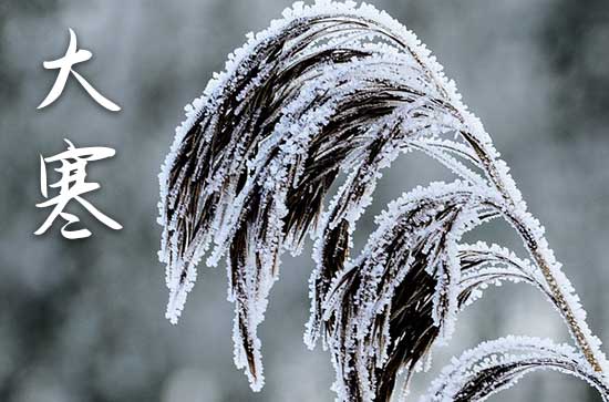 大寒节气的祝福语文案