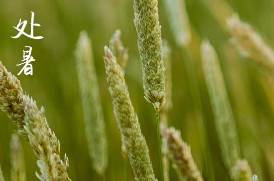 2024处暑是哪天 2024年8月22日处暑这天搬新房子好吗