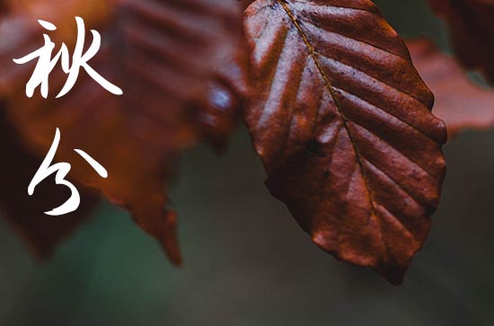 今年秋分是几月几号几点几分2024 秋分气象变化