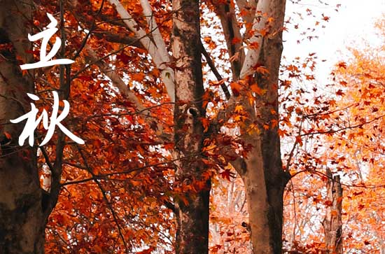 2024年什么时候立秋 2024年8月7日立秋年前洗澡可以吗