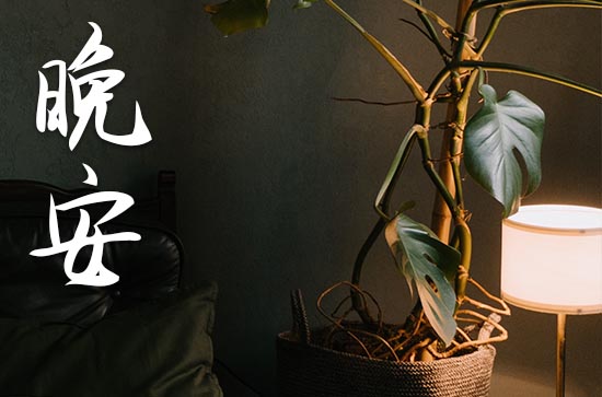 安静美好的晚安句子简短