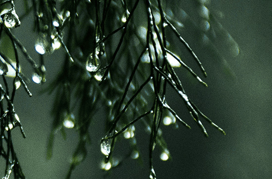 湖南是几月份雨水最大最多 湖南的雨要下到什么时候