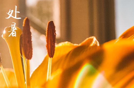 2024年处暑是什么时候 2024年处暑挖井合适吗