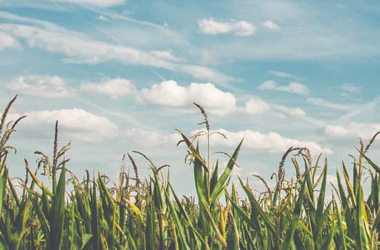 6月30日百色不会下雨 今日多云温度34℃~27℃