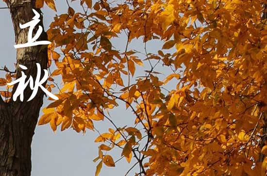 2024年立秋是哪一天 2024年立秋挖井吉祥吗