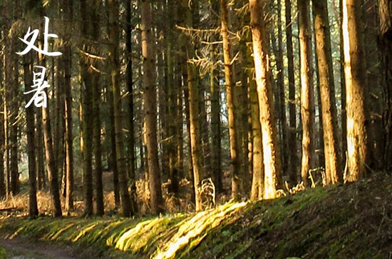 2024年处暑时间是什么时候 2024处暑那天收养孩子好吗