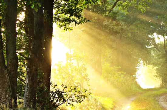 天津5月14日天气预报:高温29℃~低温17℃，晴转阴，不会下雨