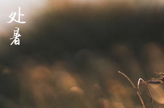 2024年处暑是几点几分几秒 2024处暑当天可以池塘放水吗