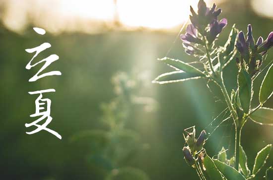 2024年立夏农历时间 2024年5月5日立夏出海打鱼适合吗