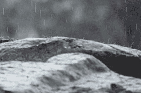 2024年谷雨节气是几月几号