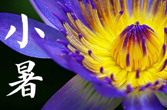 小暑吃三宝是什么意思