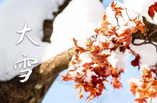 2024年大雪是几月几日 大雪节气具体时间