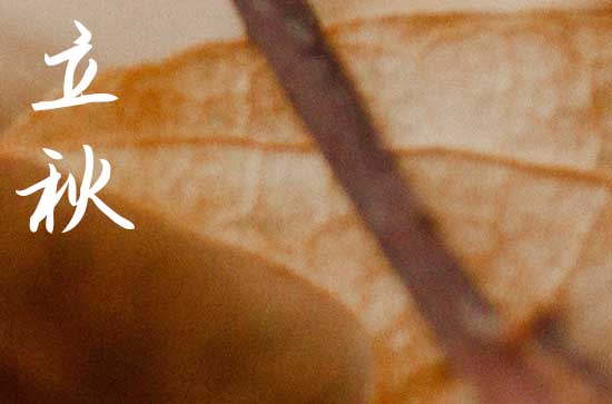 2024年立秋是几点几分几秒 2024立秋那天提车好不好