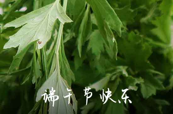 2023端午节温馨祝福语句