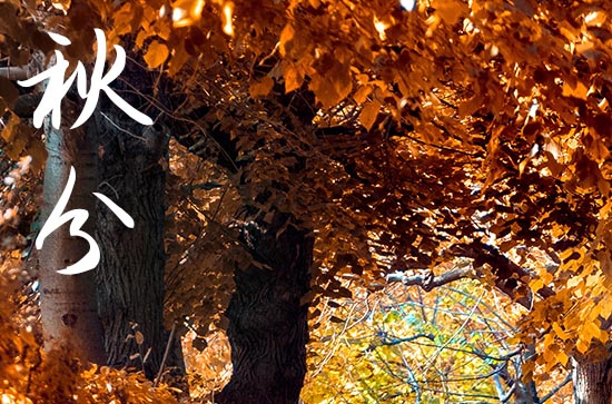 秋分是几月几号2024年 2024年9月22日秋分入棺适合吗