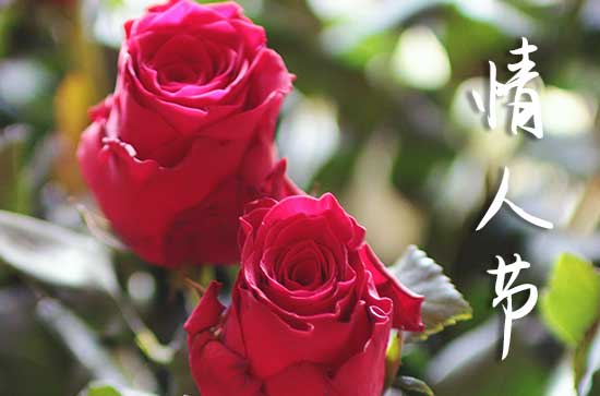 2025网络情人节当天可以结婚吗 2025年5月20日网络情人节是结婚吉日吗