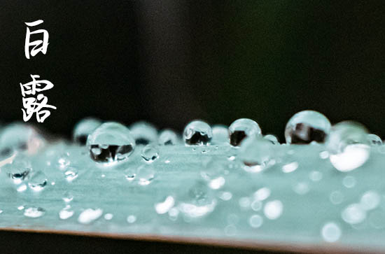 2024年白露是什么时候 2024白露是黄道吉日吗