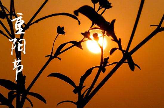 今年重阳节是第几个老人节2023