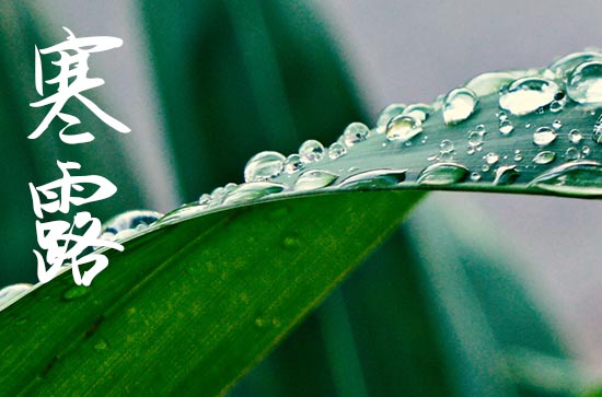 2024年寒露几点几分几秒 具体什么时候寒露节气