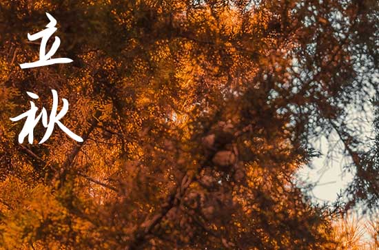 2024年立秋是什么时候 2024年立秋弄开柱眼可以吗