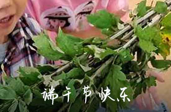 2023端午节祝福微信（30条）