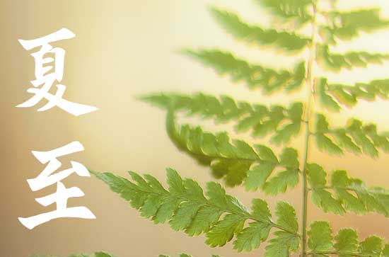 夏至节气的寓意是什么
