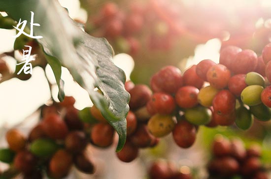 2024年处暑是哪一天 2024处暑这天可以拜观音吗