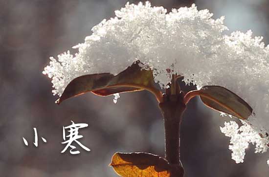 小寒说说祝福60句精选