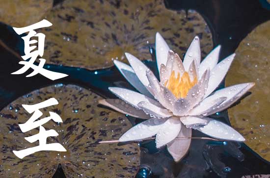 夏至为什么要吃馄饨 夏至的诗词佳句 夏至为什么要吃馄饨 夏至的诗词佳句