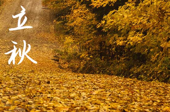 立秋给客户的温馨短信