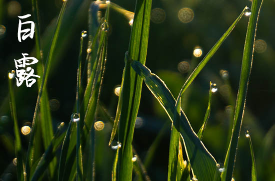 2024年白露时间是什么时候 2024年白露建造轮船可以吗