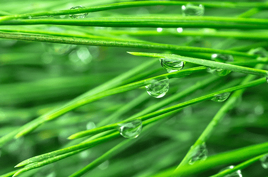 描写下雨天气的浪漫说说（汇总80句）