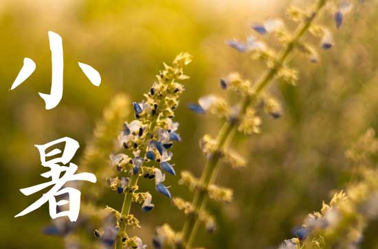 2024年农历几号小暑 2024年小暑做法事可以吗