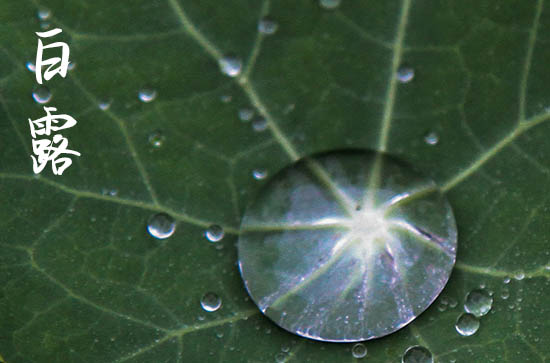 2024年白露是多少号 2024年白露这天日子怎样