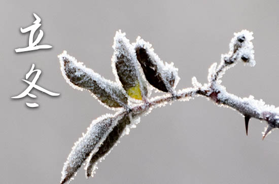 2023年立冬是什么时候时间 2023年立冬能领证吗 2023年立冬是什么时候时间 2023年立冬能领证吗
