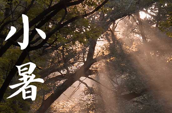 2024年小暑农历时间 2024年小暑能乔迁吗