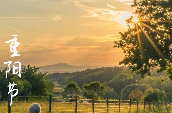 重阳节优美祝福语简短