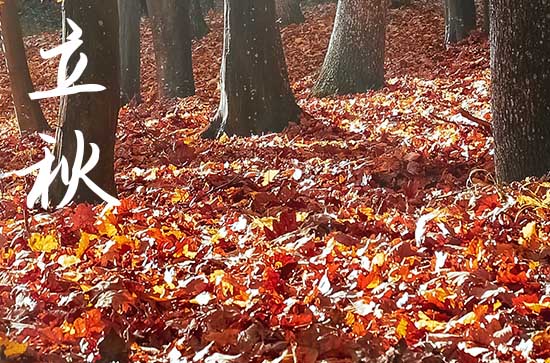 2024年立秋是什么时候 立秋农事活动