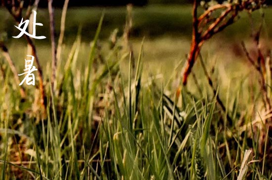 处暑是几月几号2024年 今天日子好不好