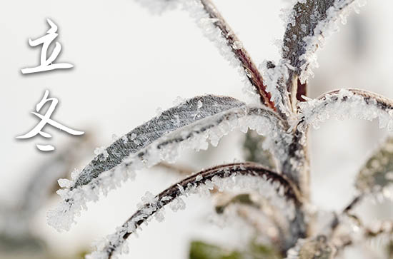 2024年立冬一般是阴历几月几号 立冬三候 2024年立冬一般是阴历几月几号 立冬三候