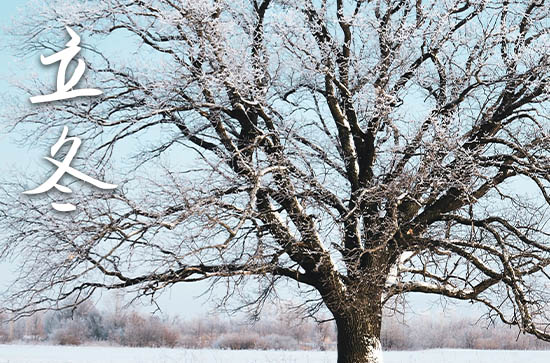 2024年农历几号立冬 2024年立冬弄求婚可以吗
