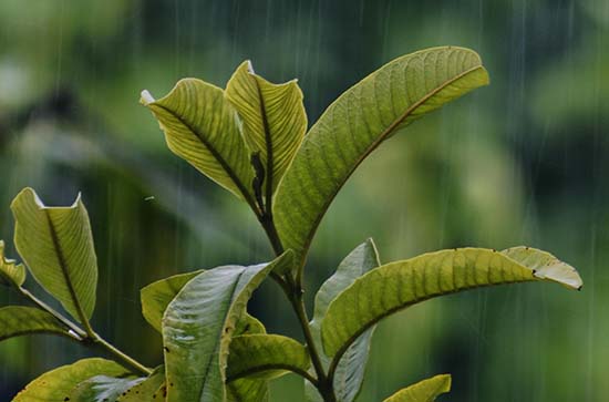 8月16日甘南会下雨 今日小雨转晴温度20℃~4℃
