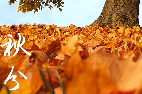 2024年秋分是星期几 2024年9月22日秋分这天宜买宠物吗