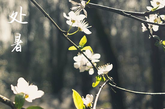 2024年处暑是星期几 2024年处暑制作房梁吉祥吗