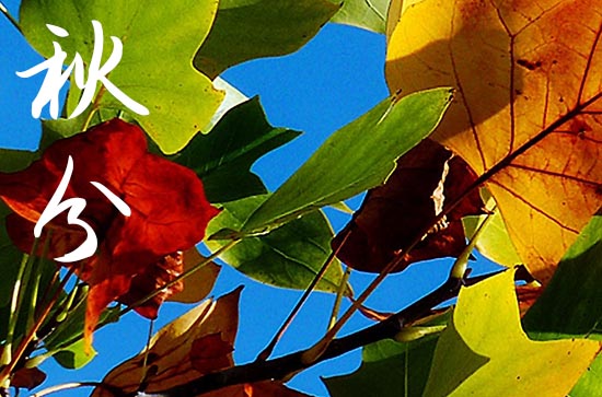 2024年今年秋分是几月几号 2024秋分当天可以修补破洞吗